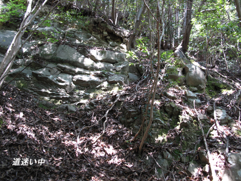 20140426hike (31)